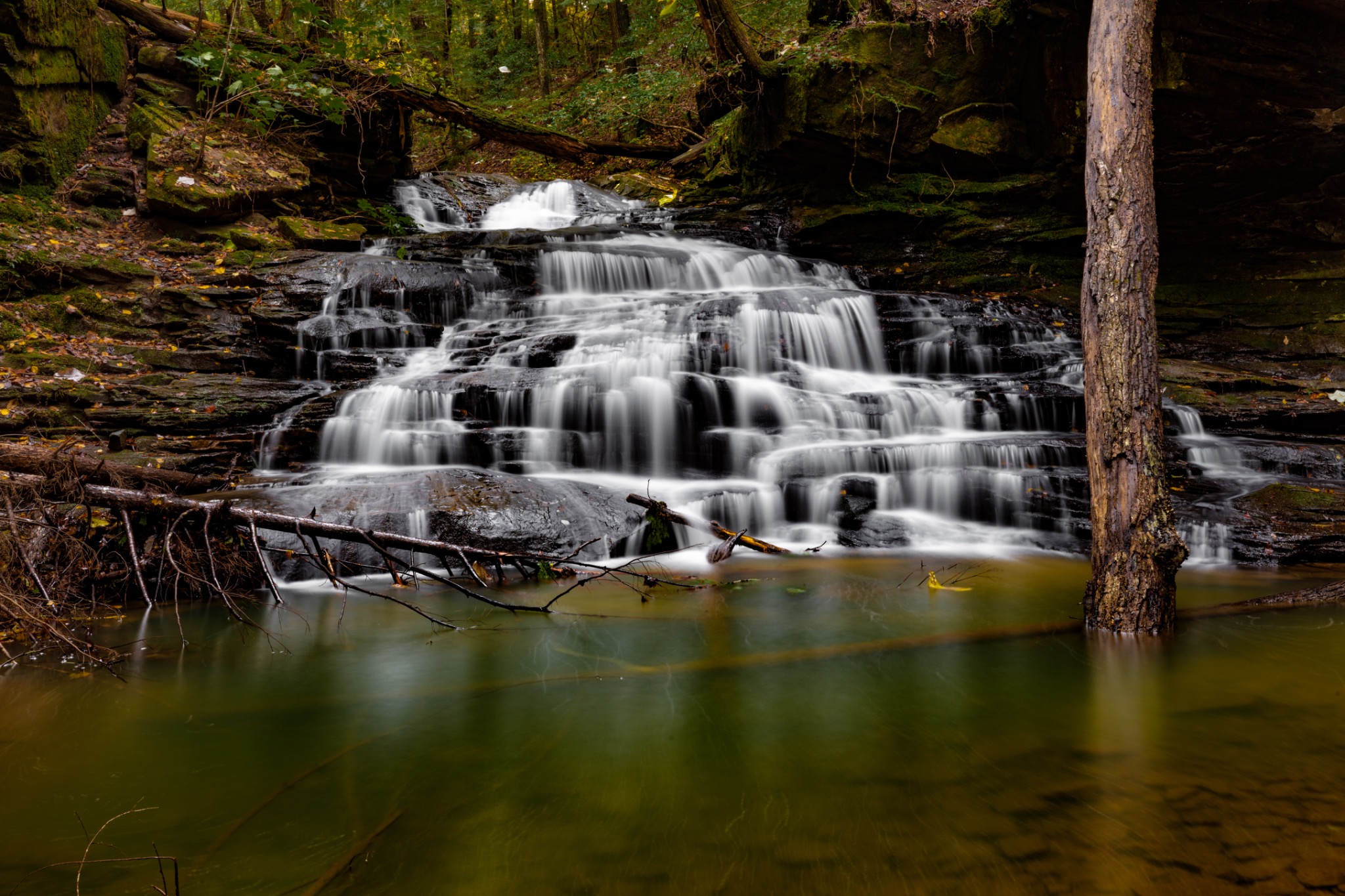 Eagle Creek Falls cascading through a wooded landscape