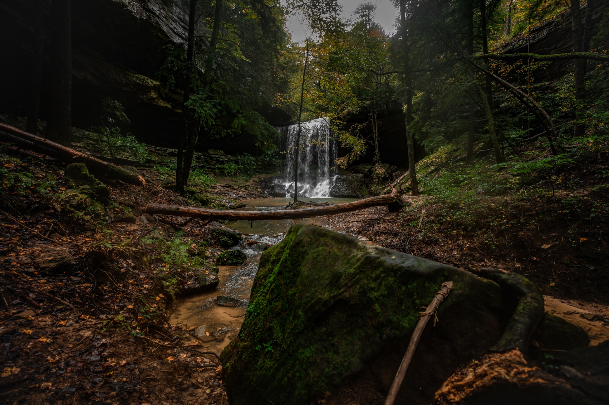 A waterfall in a dark forest