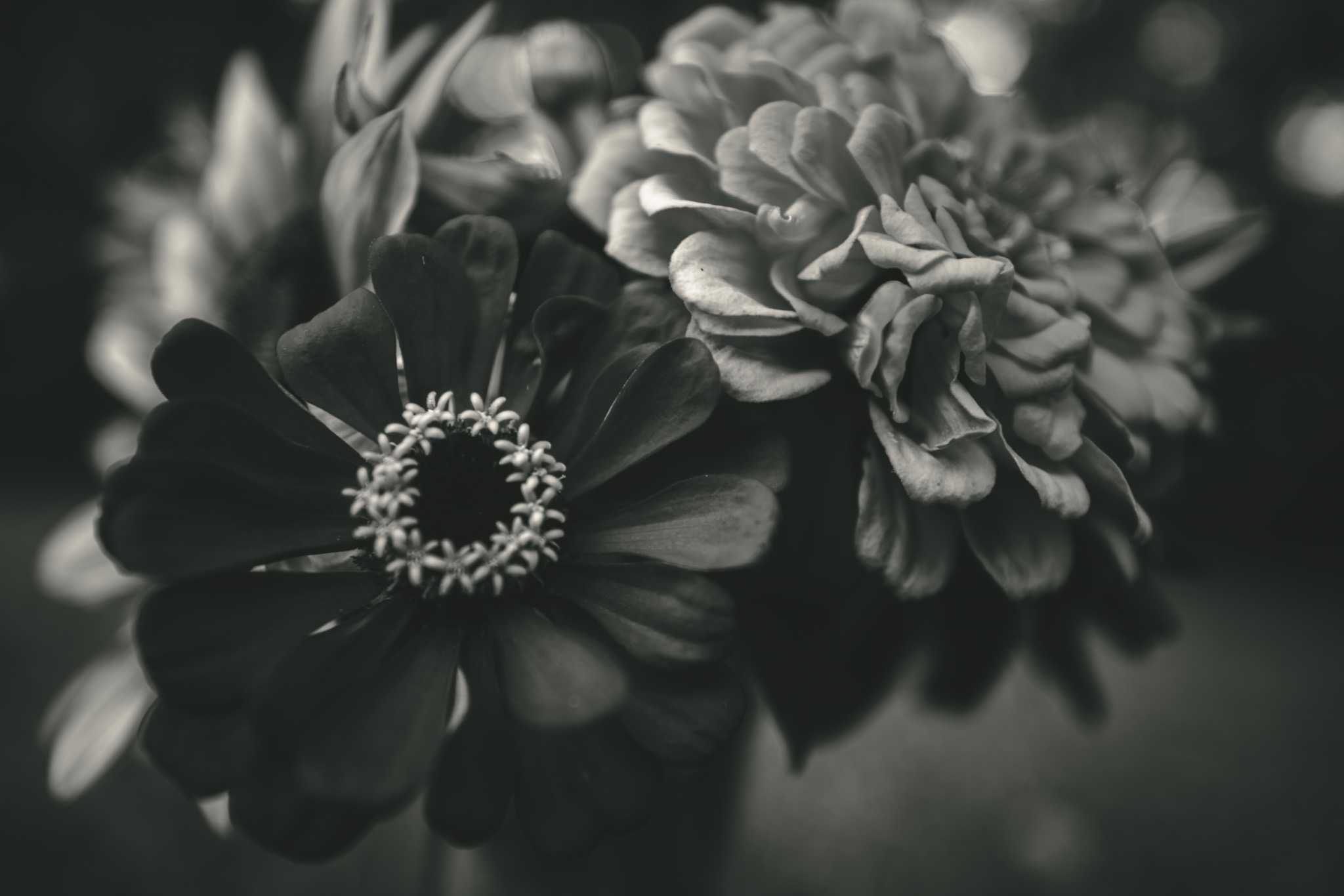 A close black-and-white study of layered flowers